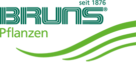 Bruns Pflanzen-Export GmbH & Co.KG